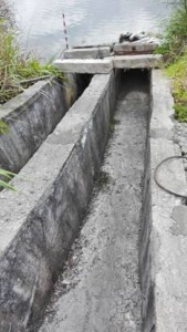 1565850309617299.jpg 20161110092249242.jpg