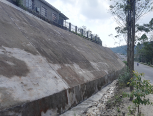 1565850958922452.png 201706261048237081.png