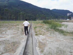 1565850965688939.png 201706261048383554.png