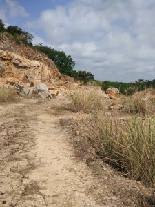 1565853296458497.jpg 201810091003007044.jpg