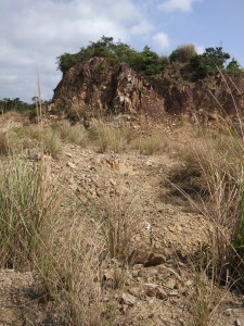 1565854314420950.jpg 201903121627491349.jpg