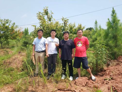 1618194187365182.jpg Compress_圖片1.jpg