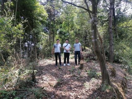 1709536564595189.jpg Compress_圖片1.jpg